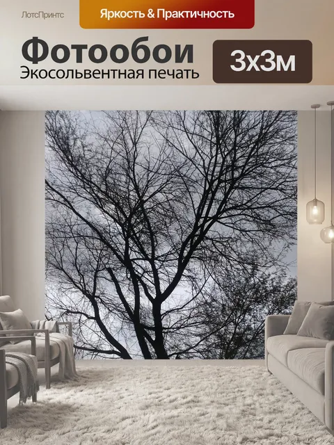 Фотообои Нилопец vachellia