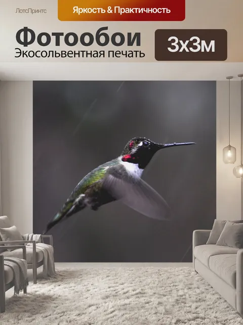 Фотообои Руфус