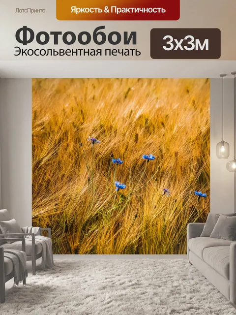 Фотообои Васильковый
