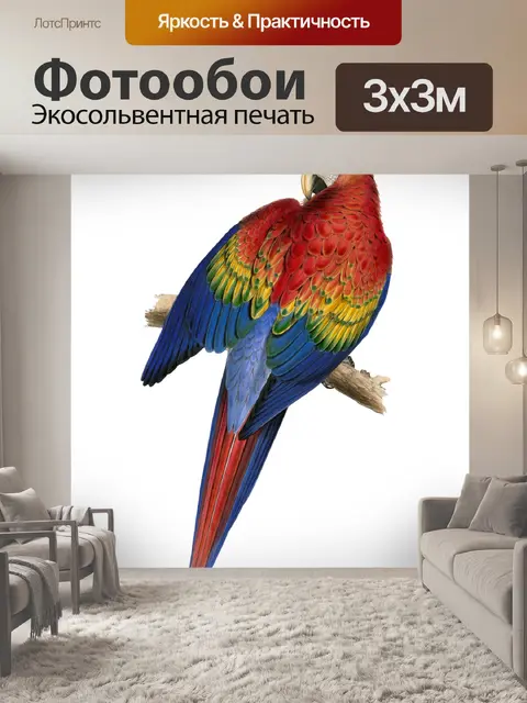 Фотообои Птица Винтаж Ара Клипарт