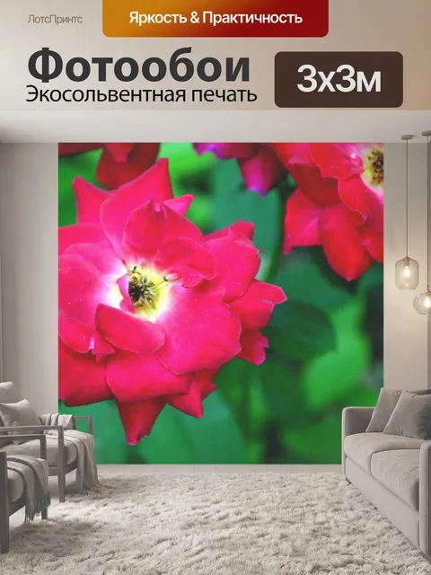 Фотообои Красные розы