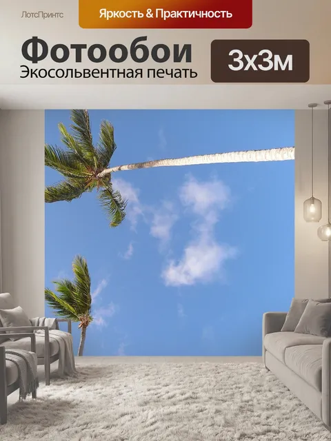 Фотообои Пальмы