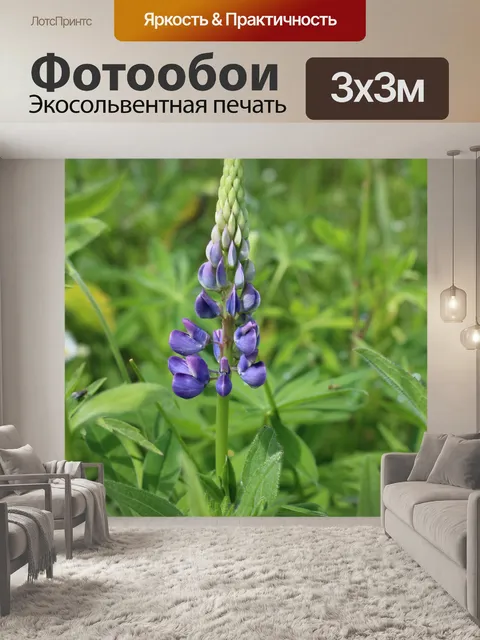 Фотообои люпин