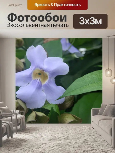 Фотообои Коста-Рика Цветы