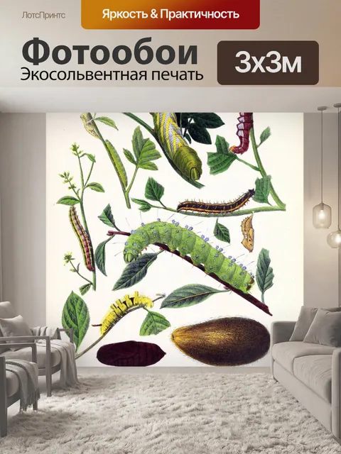 Фотообои Гусеницы винтажной иллюстрации