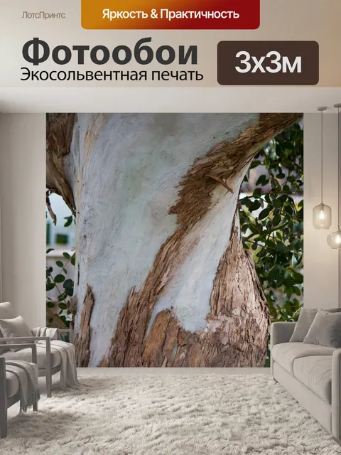 Фотообои Текстура дерева кору
