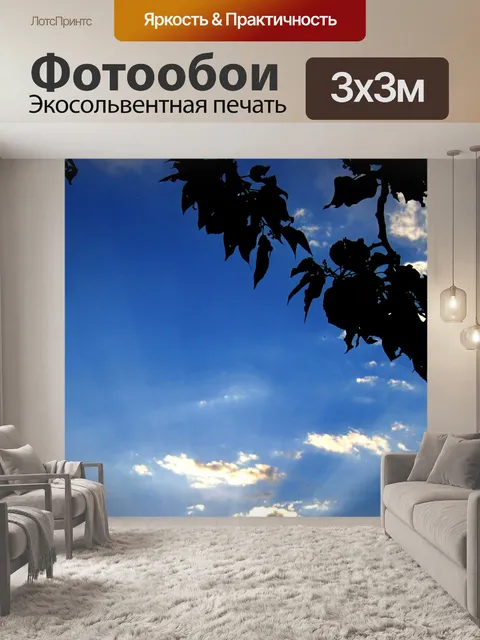 Фотообои листва с голубым небом