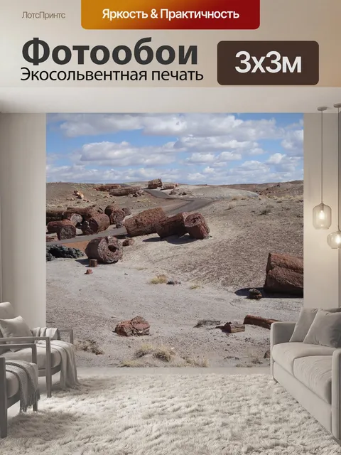 Фотообои Окаменевший лес национальный парк