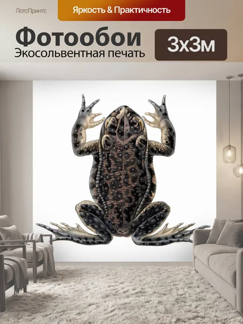 Фотообои Винтажная художественная жаба