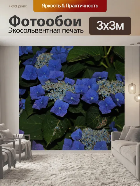 Фотообои Цветок