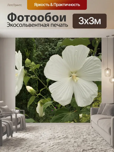 Фотообои Цветок