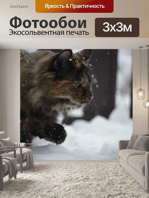 Фотообои Кот