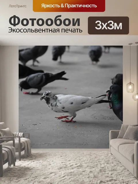 Фотообои Птица