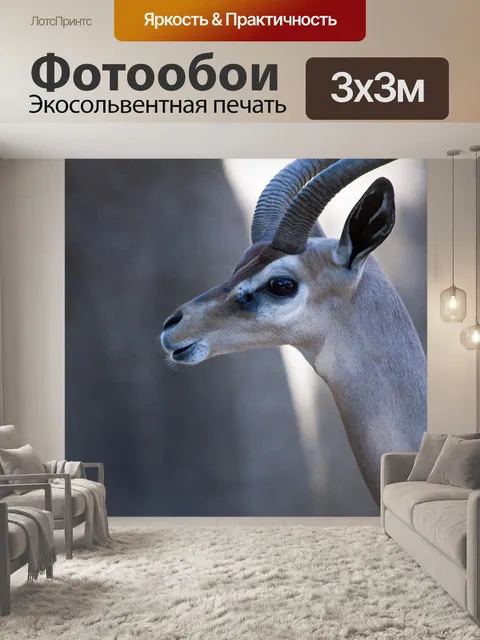 Фотообои антилопа