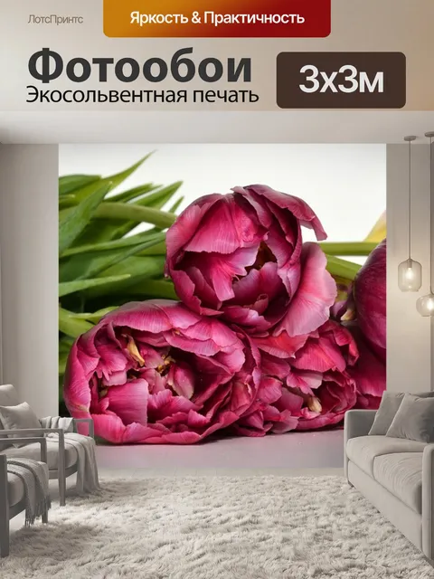 Фотообои Тюльпаны