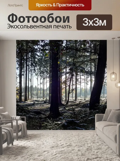 Фотообои Зимний лес