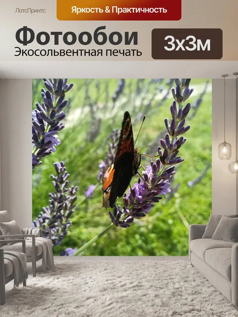 Фотообои Бабочка