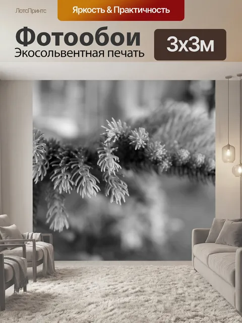 Фотообои Черно-белая сосна Листья деревьев