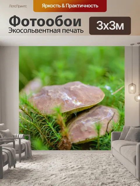 Фотообои Во мху