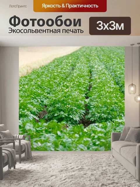 Фотообои Сельское хозяйство