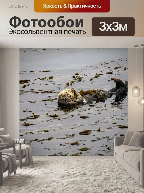 Фотообои выдра