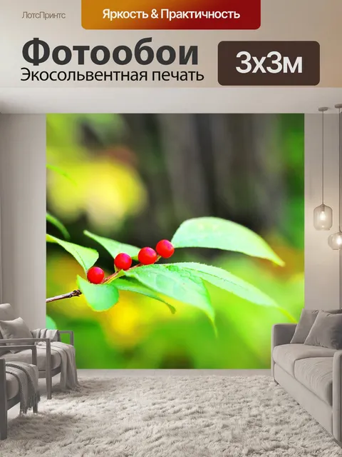 Фотообои Гора