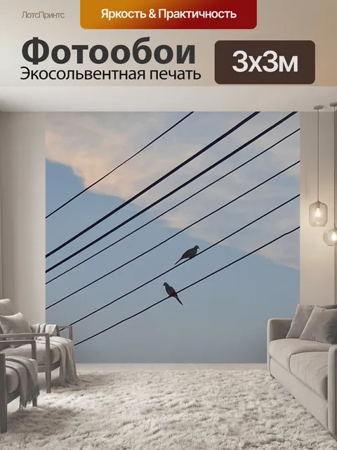 Фотообои Провод