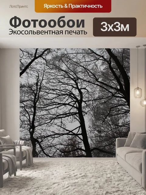 Фотообои Лес