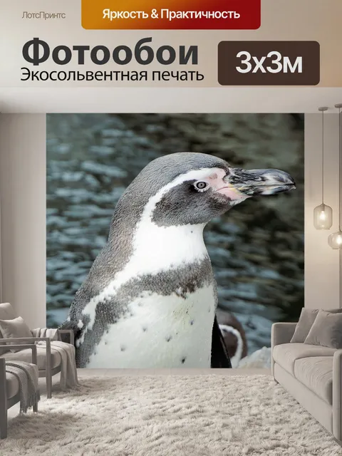 Фотообои Пингвин