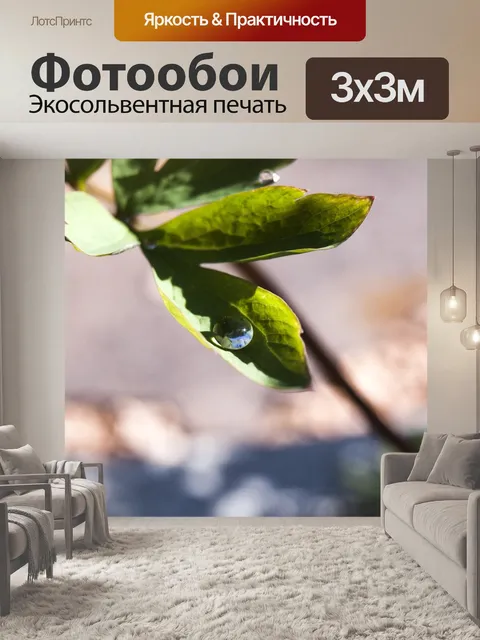 Фотообои Капля росы