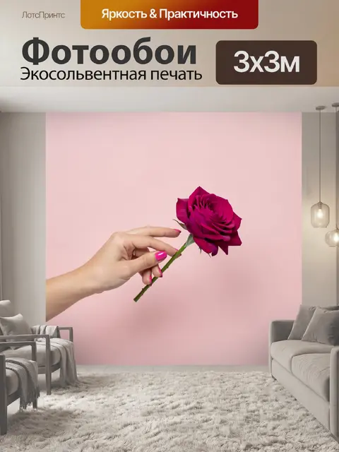Фотообои Женская рука с малиновой розой