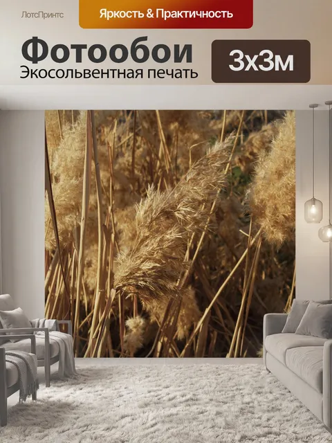 Фотообои Колос