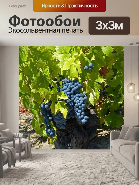 Фотообои Лоза