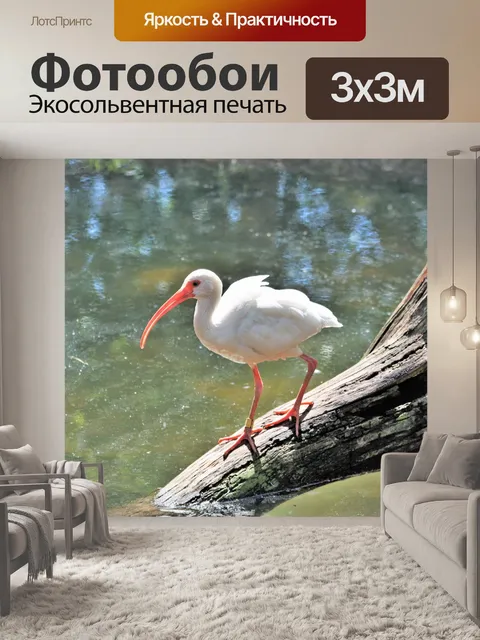 Фотообои Белый ход Ibis в журнале