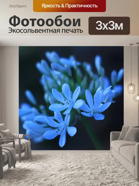 Фотообои Зимний сад