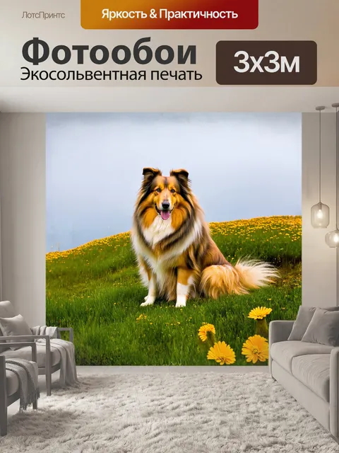 Фотообои грубая колли, обладающая шикарной, длинной шерстью, сидит на зелёном склоне холма, окаймлённая дикими цветами