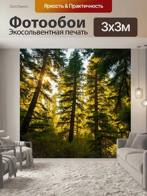 Фотообои лес с густыми хвойными деревьями, яркие солнечные лучи пробиваются сквозь кроны