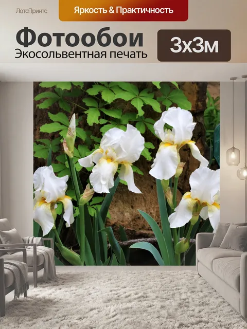 Фотообои Четыре белых ириса в цветочном саду