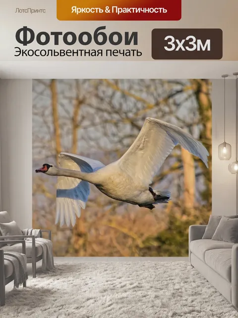 Фотообои Гусь