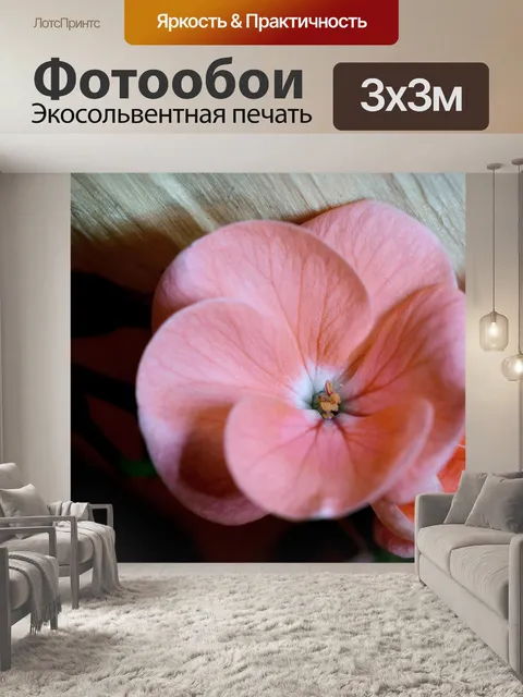 Фотообои Герань