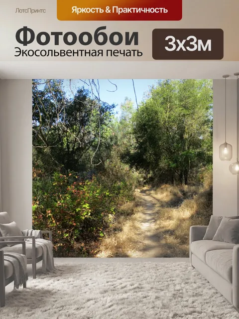Фотообои Путь в лесах 85