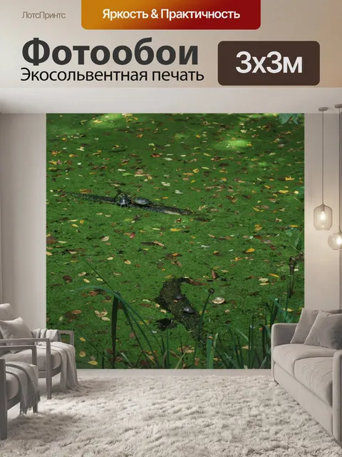 Фотообои Turtles