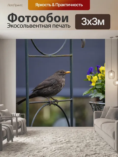 Фотообои Природа