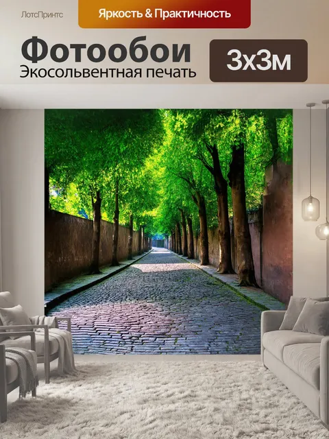 Фотообои старая аллея с высокими деревьями