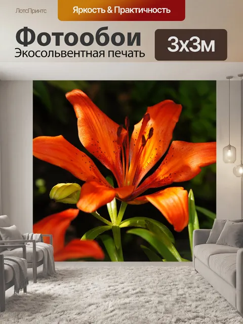 Фотообои Лилия