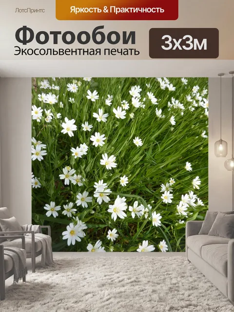 Фотообои Цветы белая природа