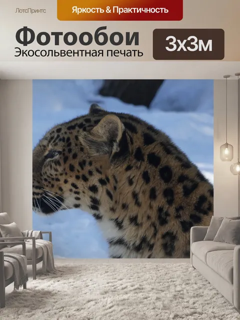 Фотообои Тигр