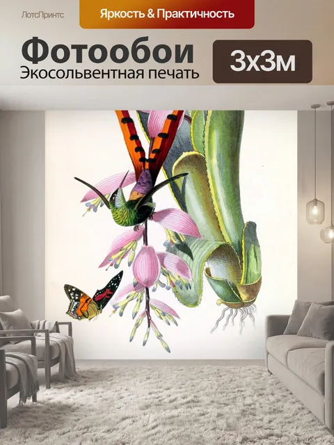 Фотообои Винтажное искусство Колибри Бабочка