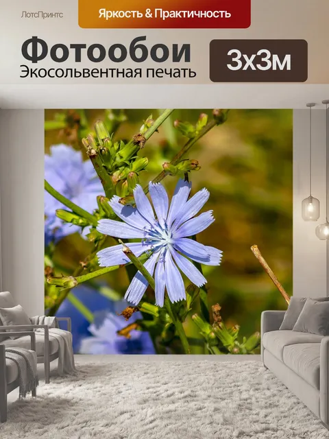 Фотообои Уайлдфлауэр