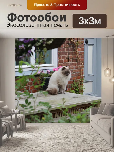 Фотообои Кошка